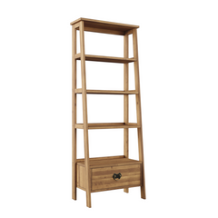 Garrat Ladder Shelving Unit
