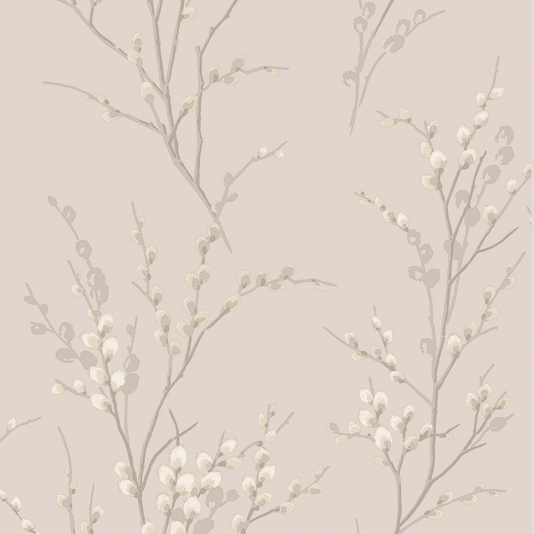 Pussy Willow Dove Grey Wallpaper