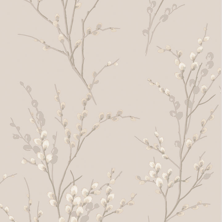 Pussy Willow Dove Grey Wallpaper