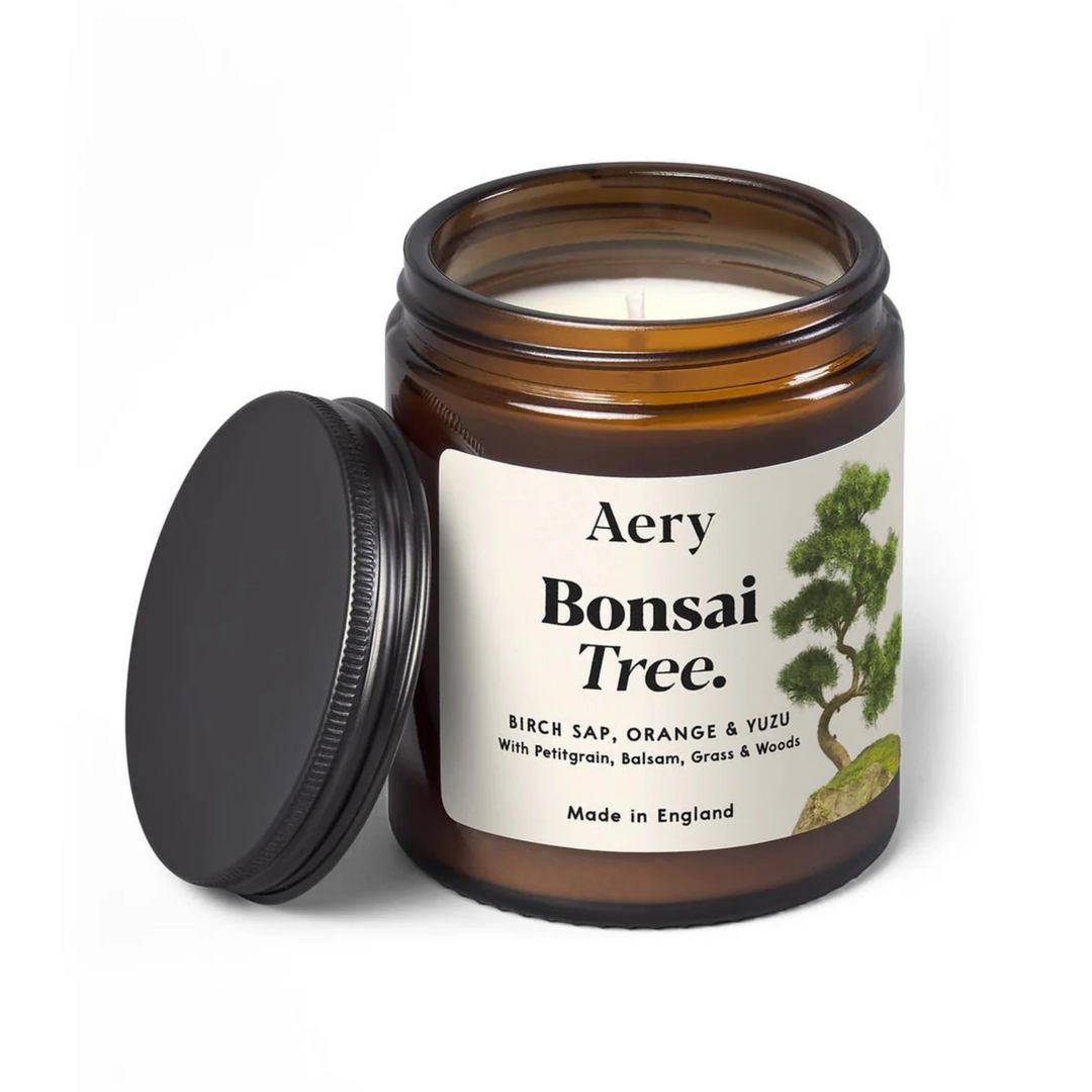 Bonsai Tree Jar Candle - Birch Sap, Orange & Yuzu