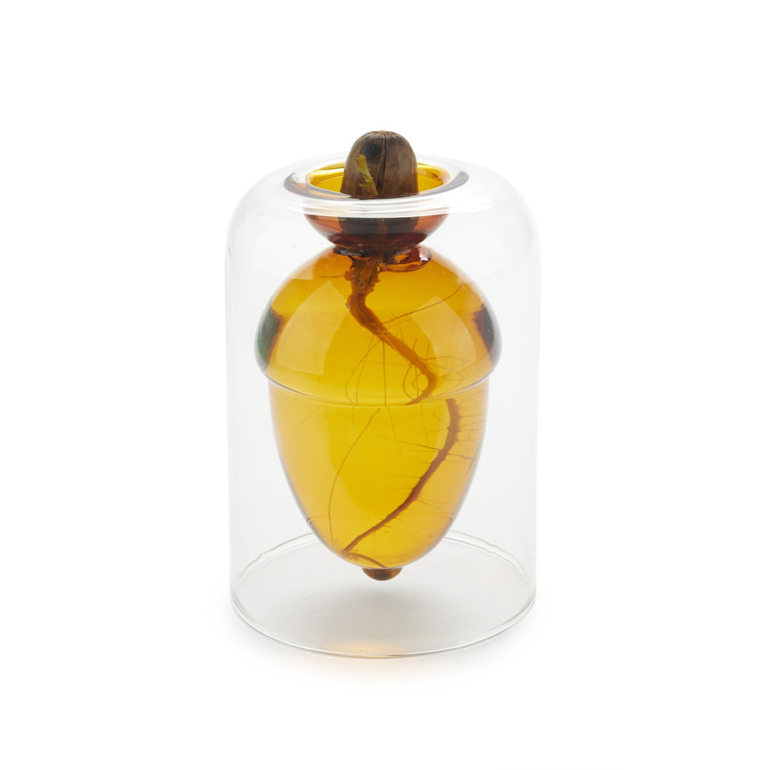 Acorn Glass Seed Vase
