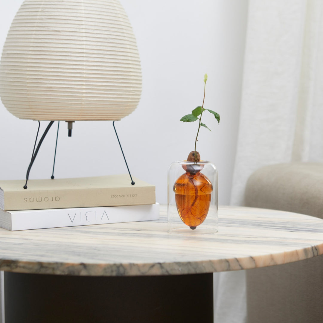 Acorn Glass Seed Vase