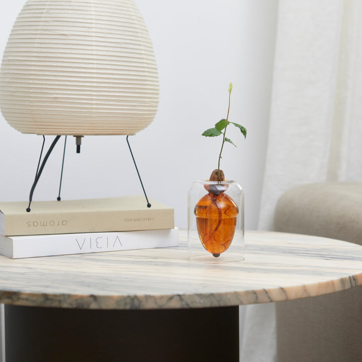 Acorn Glass Seed Vase