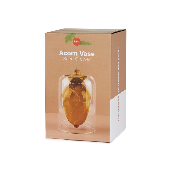 Acorn Glass Seed Vase