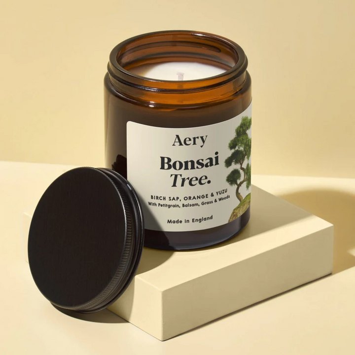 Bonsai Tree Jar Candle - Birch Sap, Orange & Yuzu