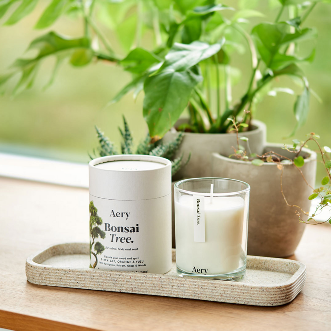 Bonsai Tree Candle - Birch Sap, Orange & Yuzu