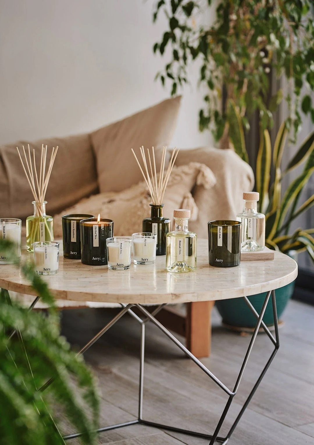 Fig Leaf Candle - Black Fig, Vetiver & Cedarwood