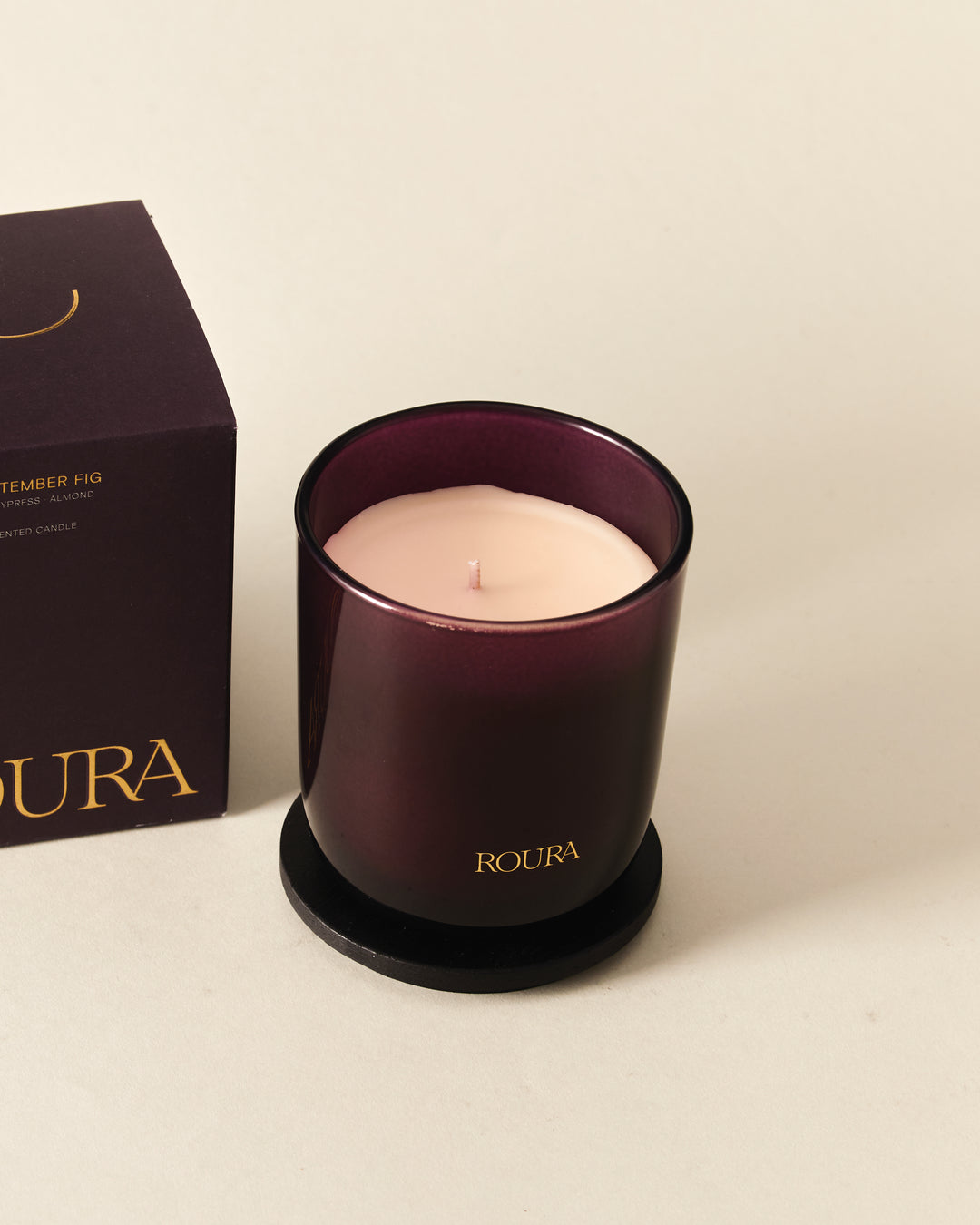 Icon September Fig Scented Candle