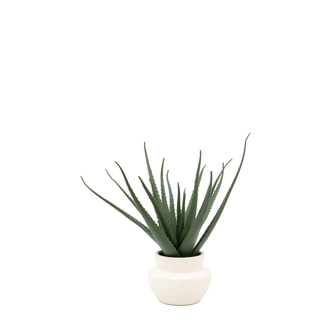 Faux Aloe Vera in White Ceramic Pot