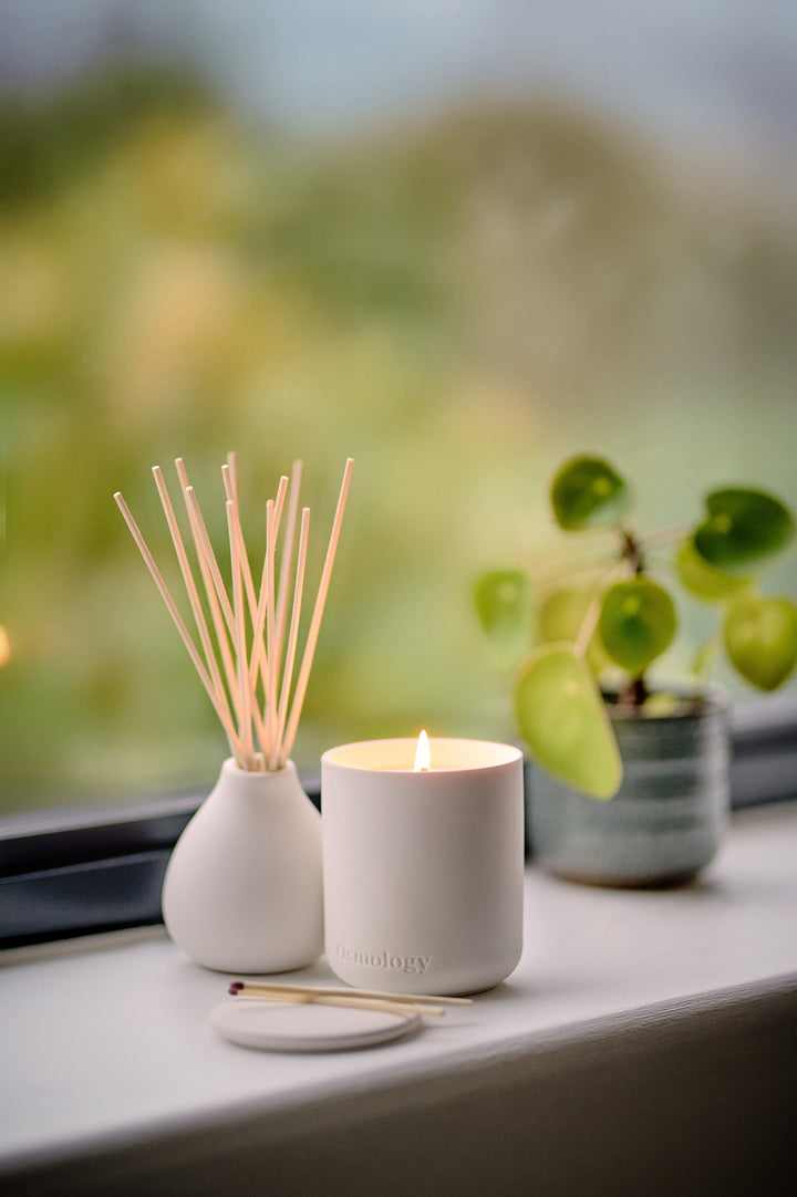 Nordic Cedar Reed Diffuser