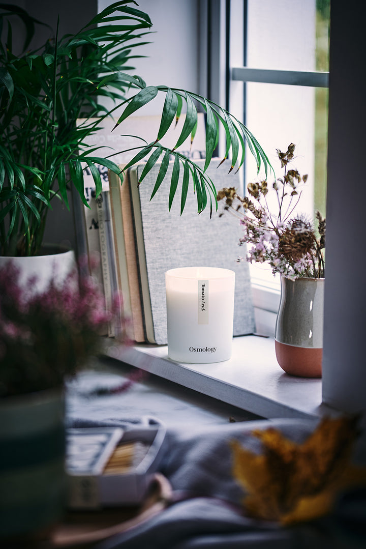 Tomato Leaf Botanical Candle