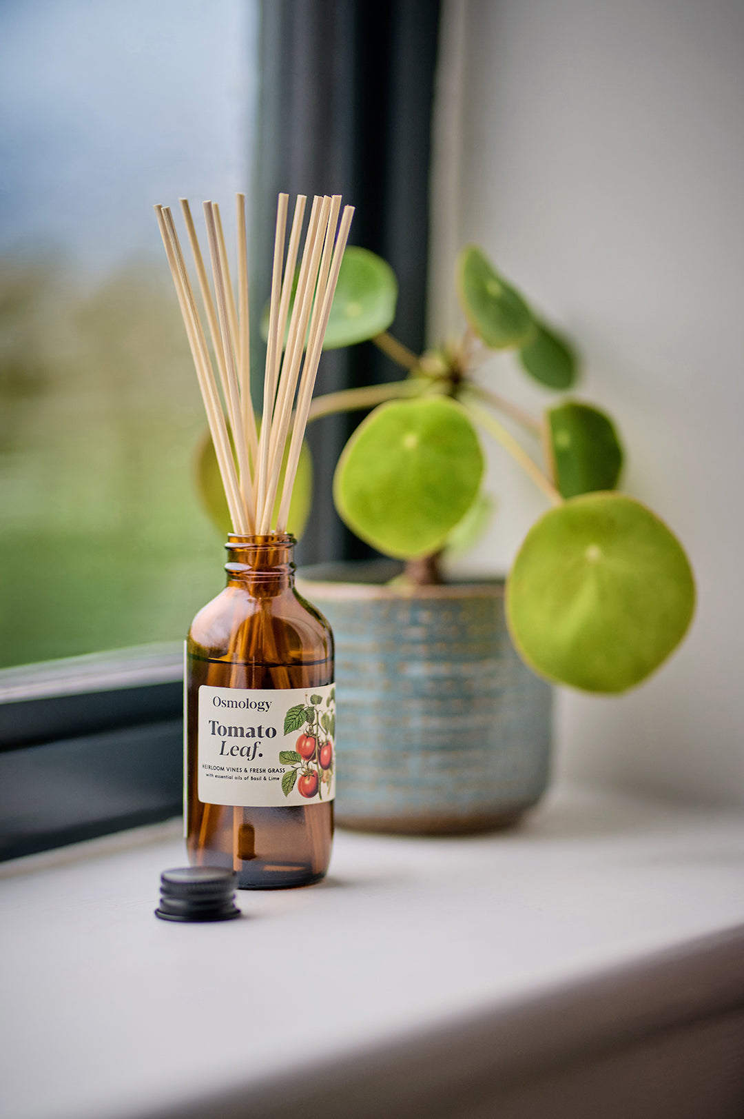 Tomato Leaf Reed Diffuser Refill