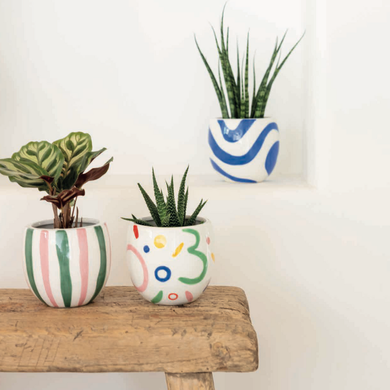 Assorted Colours Ceramic Pippa Plant Pot Set