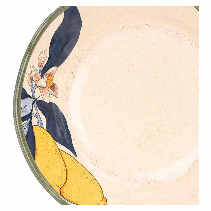 Limu Lemon Melamine Salad Plates Set of 2 – 21cm
