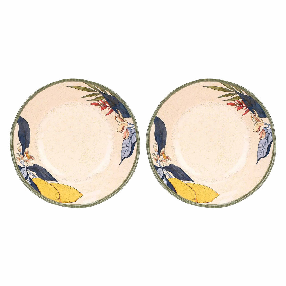 Limu Lemon Melamine Salad Plates Set of 2 – 21cm