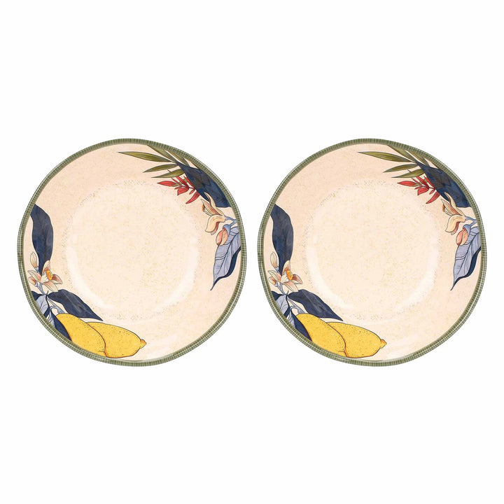 Limu Lemon Melamine Salad Plates Set of 2 – 21cm