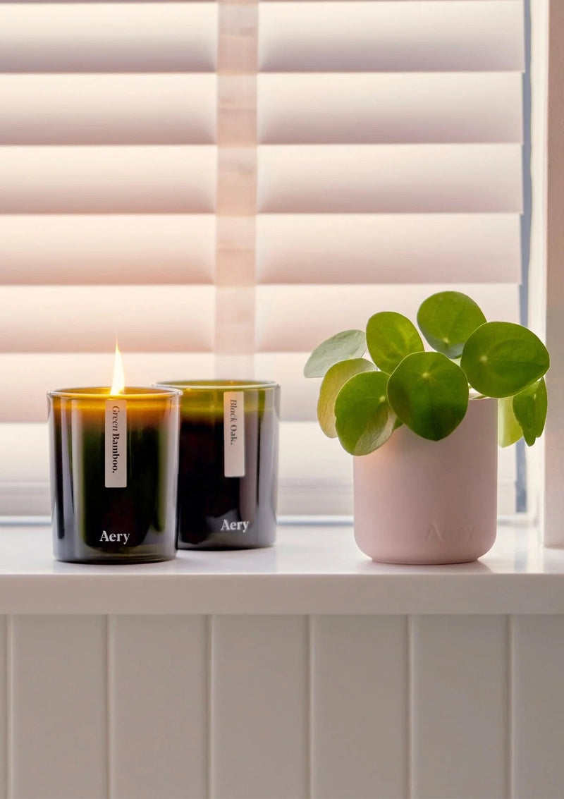 Black Oak Candle - Cedarwood, Cardamom & Nutmeg