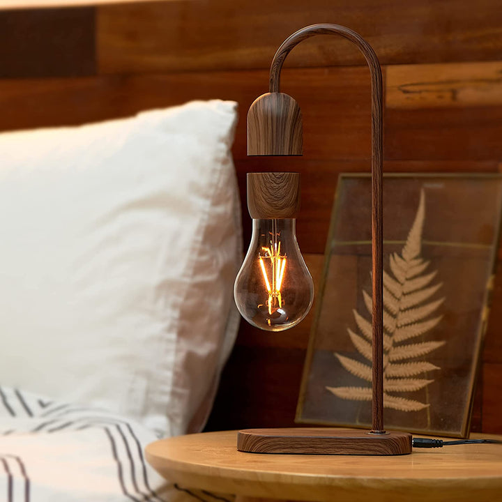 Evaro Light Bulb Lamp