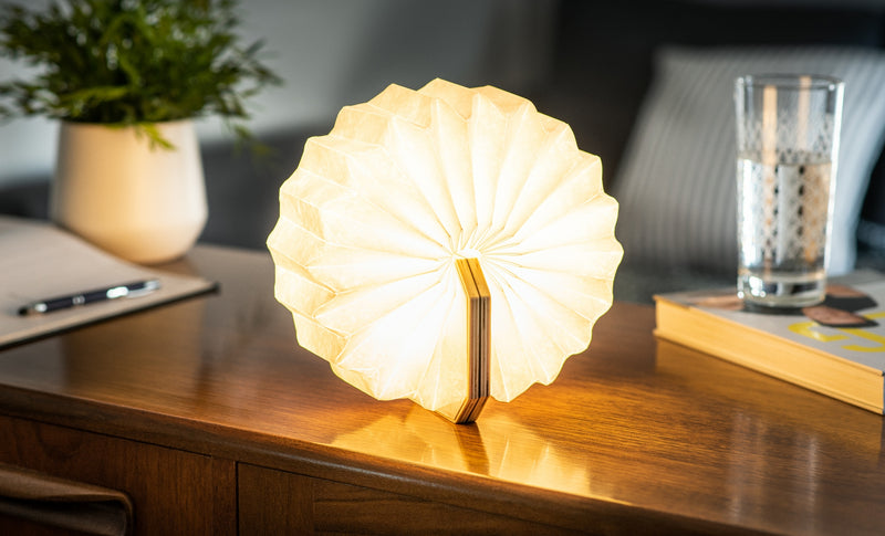 Smart Accordian Lamp, Maple - Plum Retail