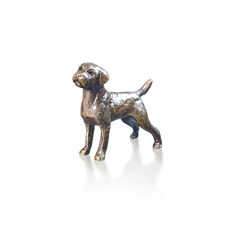 Butler & Peach Miniature Bronze Border Terrier