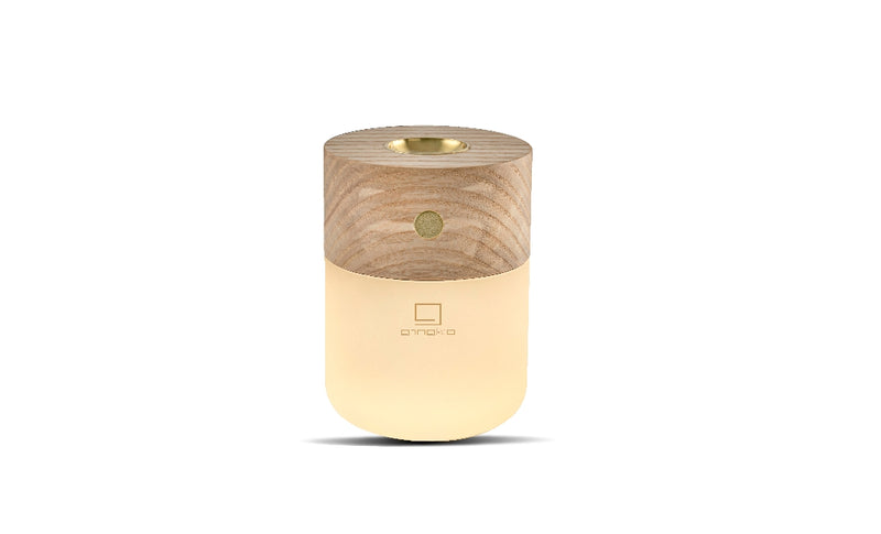 Smart Diffuser Lamp - Plum Retail