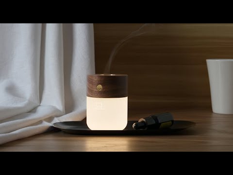 Smart Diffuser Lamp